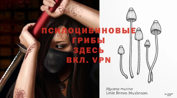 сатива Абдулино