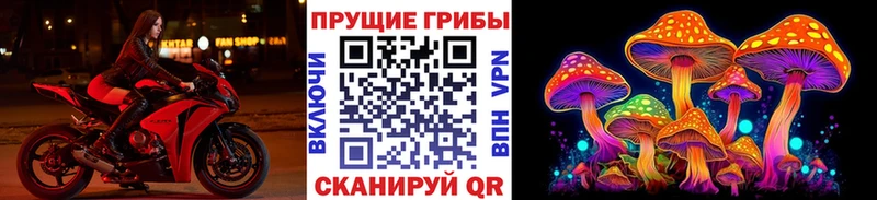 Галлюциногенные грибы мицелий  Пойковский 